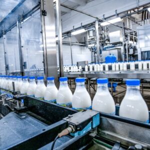 Dairy Industry